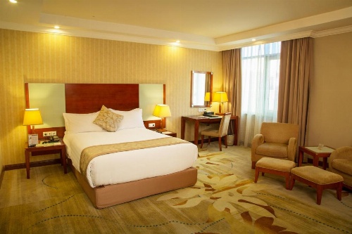 Jupiter International Hotel Bole image 28